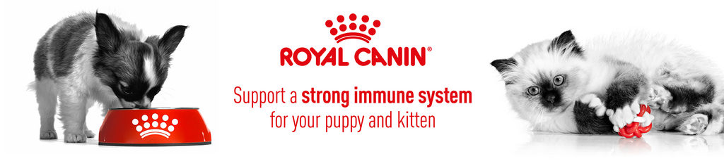 Royal Canin Ad