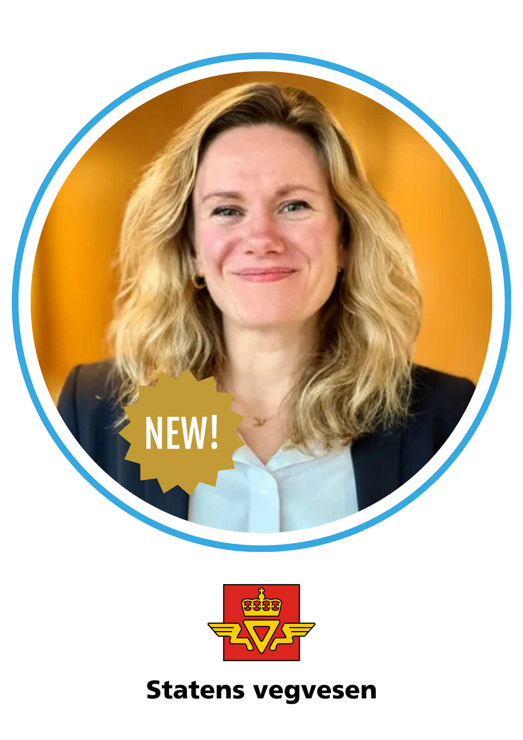 Kari Johanne Hjeltnes, Norwegian Public Roads Administration