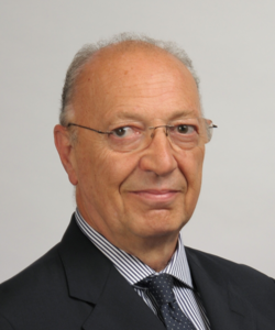 Riccardo Tippmann, Consultant