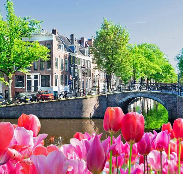 Netherlands Header