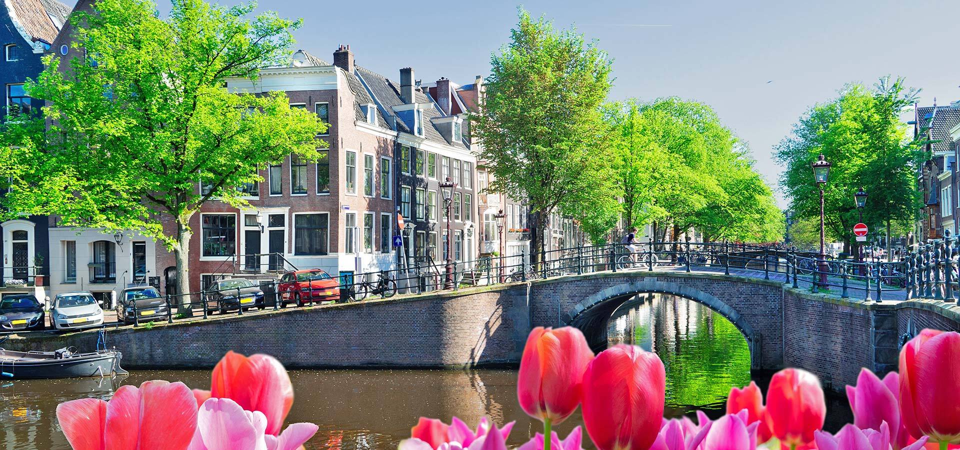 Netherlands Header
