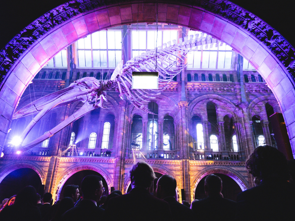 A Night to Remember - Image