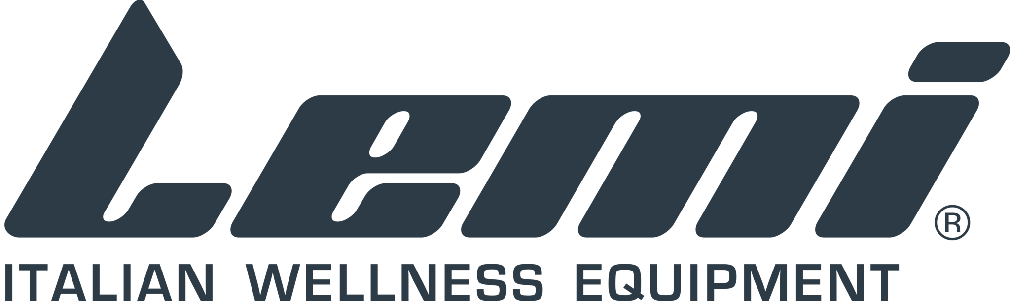 Lemi Group