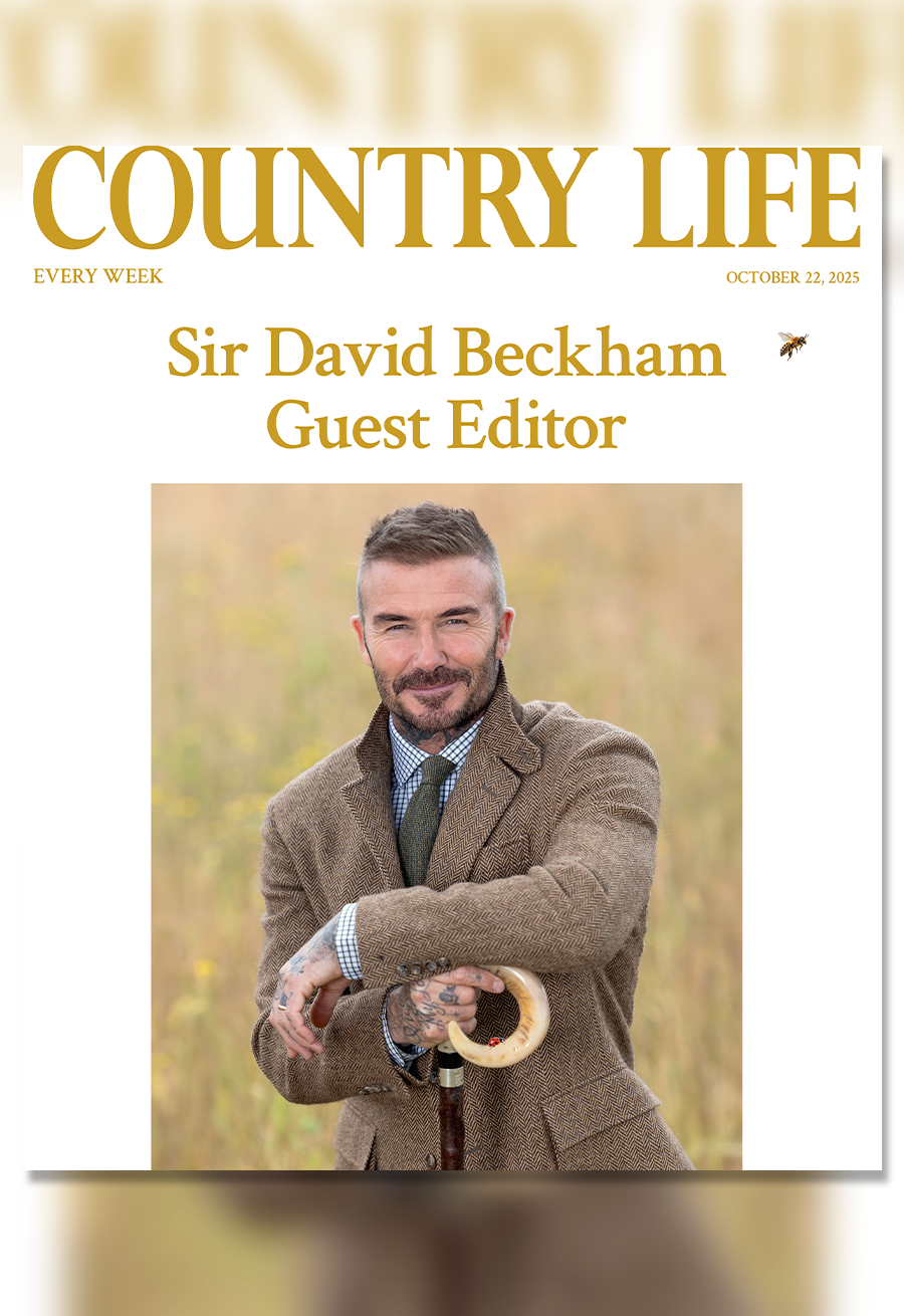 Country Life, Future