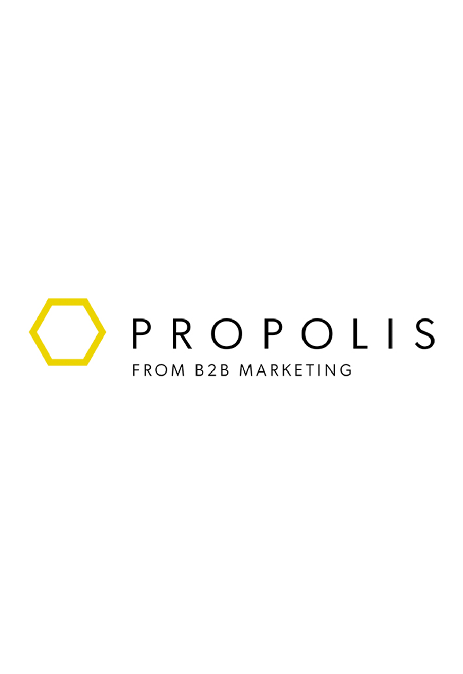 Propolis Community, B2B Marketing