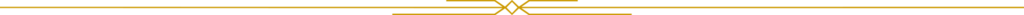 Graphic divider 2