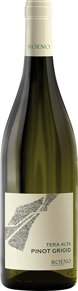 Pinot Grigio Valdadige D.O.C. 