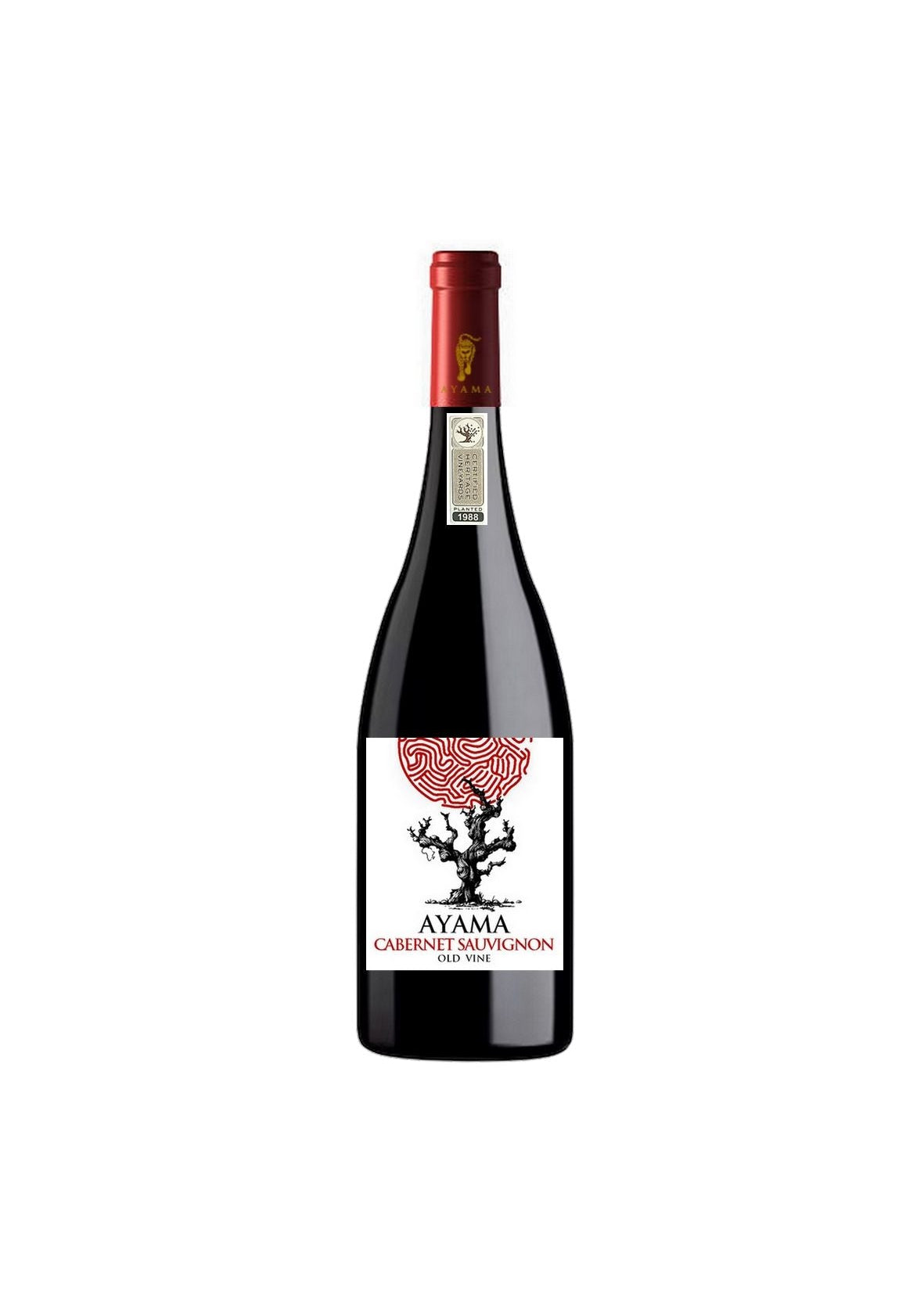 CABERNET SAUVIGNON OLD VINE