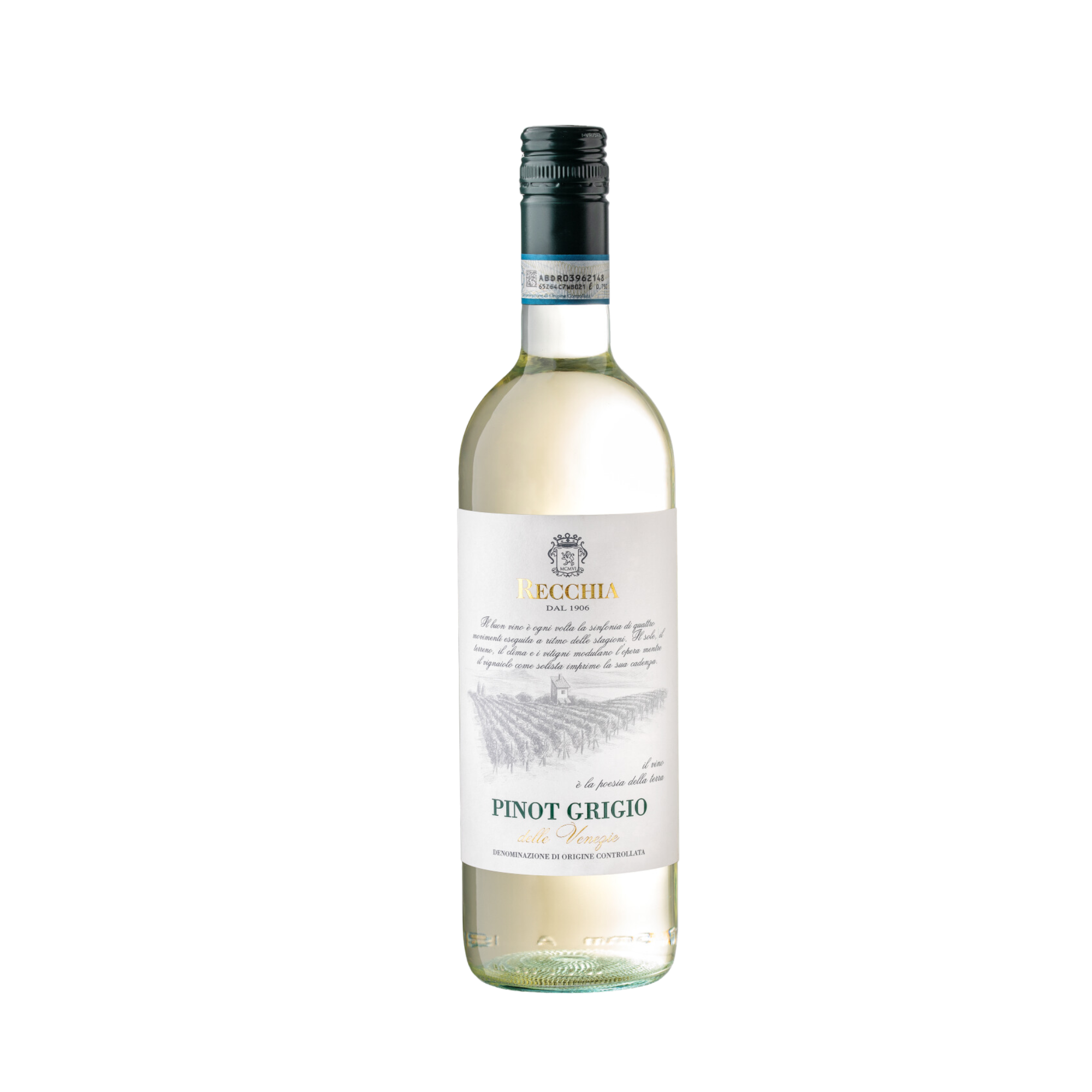 Pinot Grigio delle Venezie