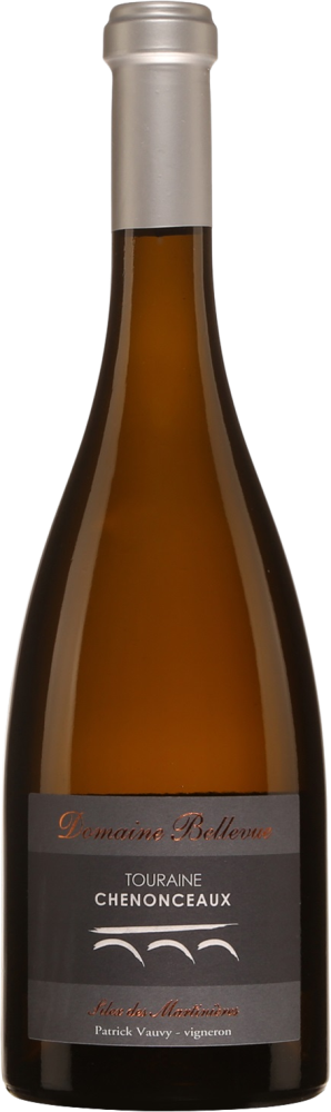 Silex des Martinières
