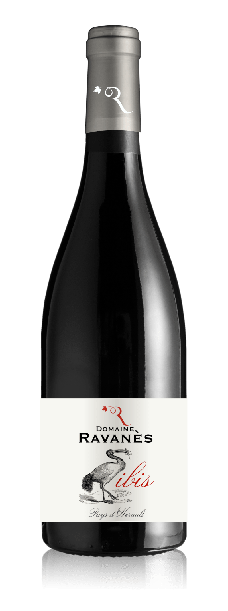 Ibis , Cinsault, Syrah, Alicante