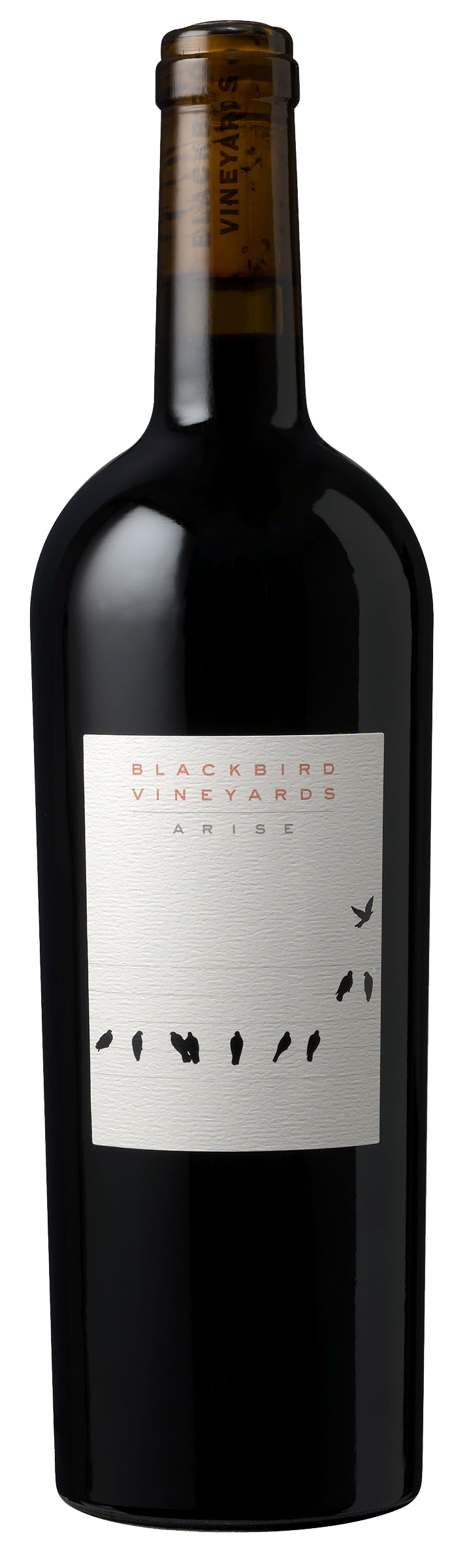 Blackbird Arise