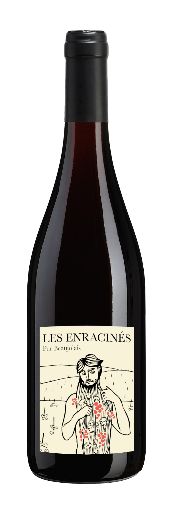 Château de la Terrière Beaujolais-Villages Vin Nature Les Enracinés