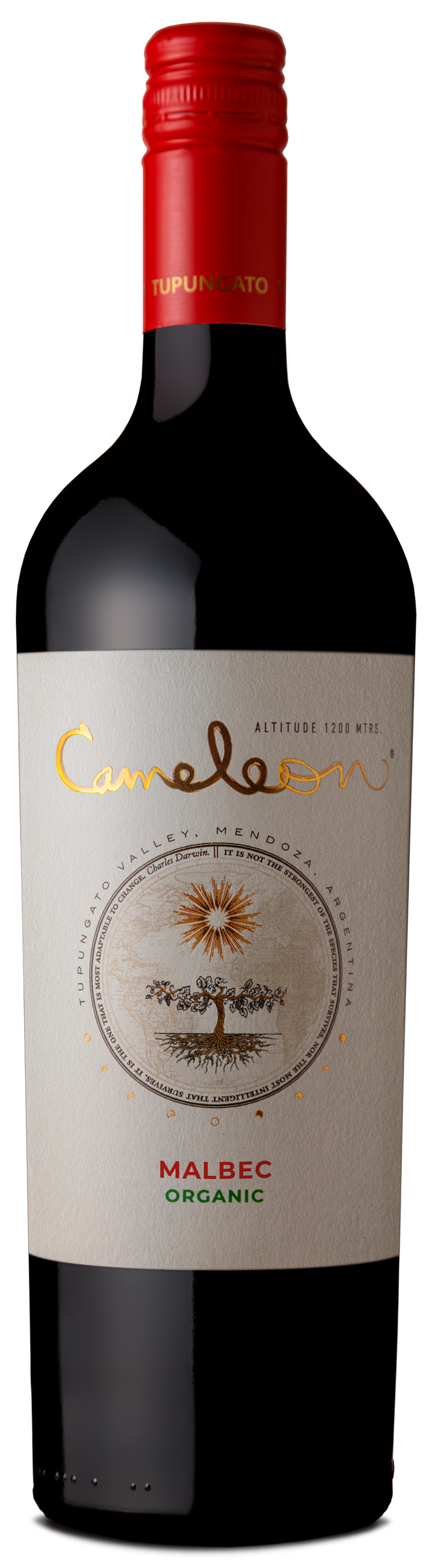 Cameleon Organic Malbec
