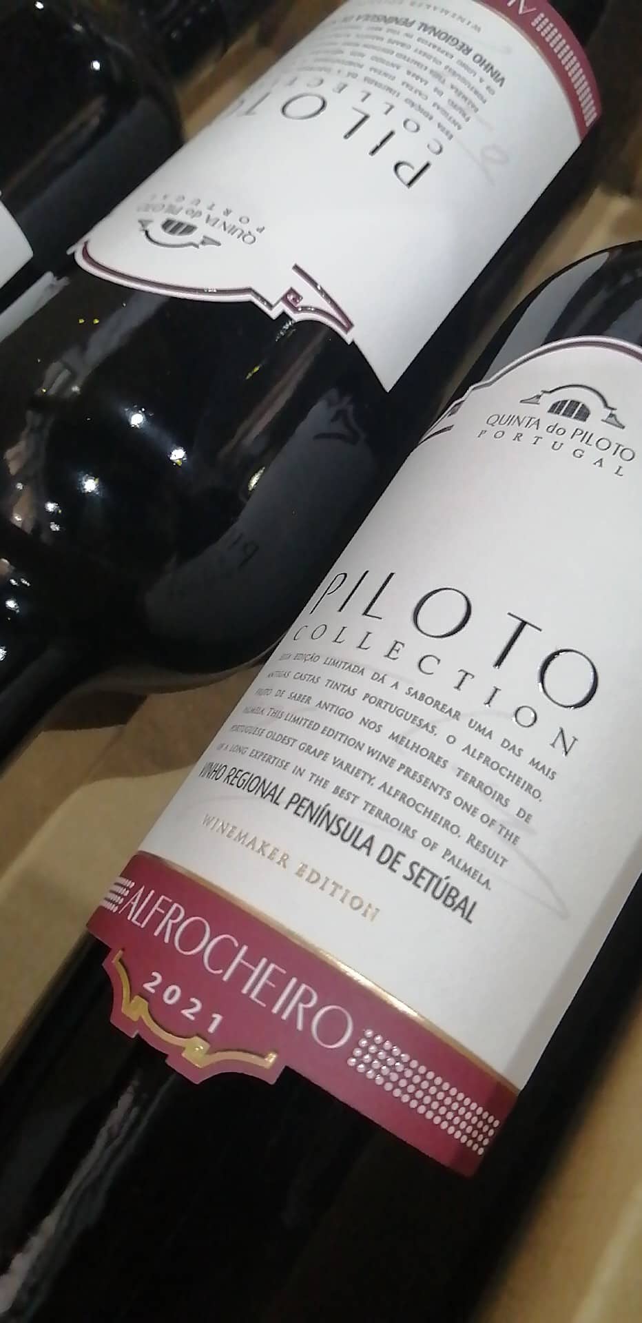 Piloto Collection Alfrocheiro