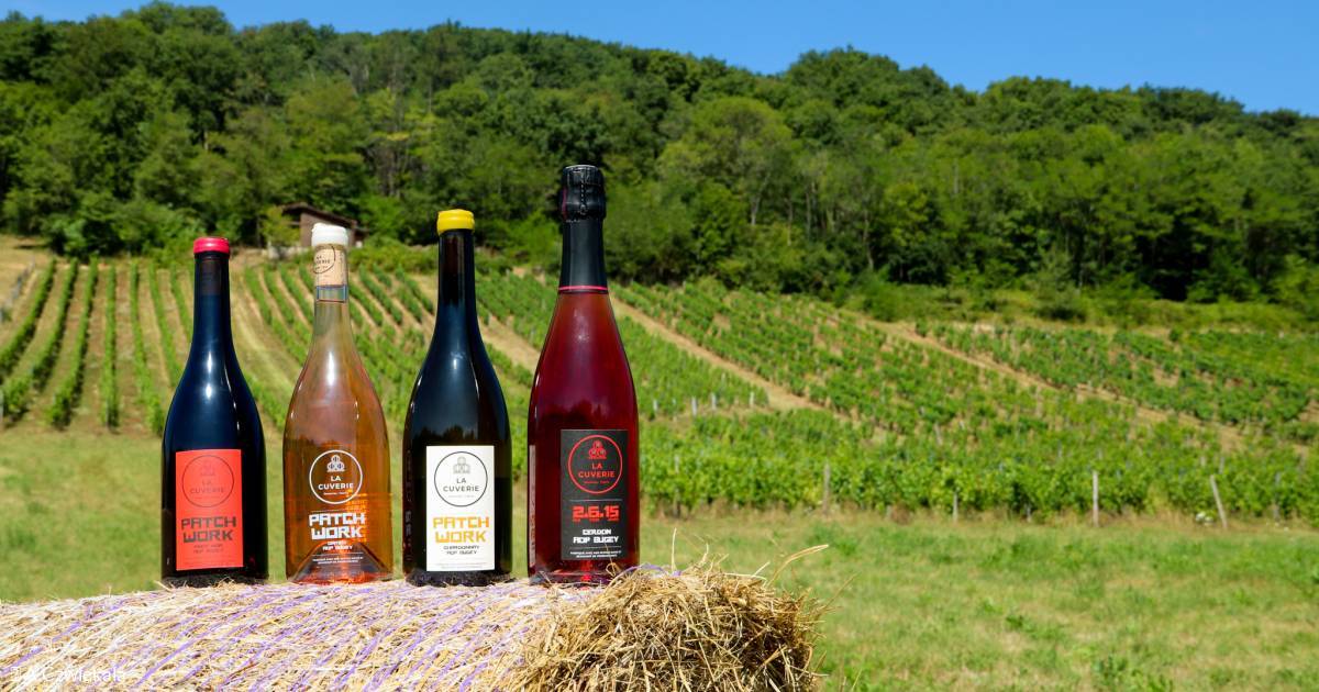 La Gameuse - Gamay/Mondeuse