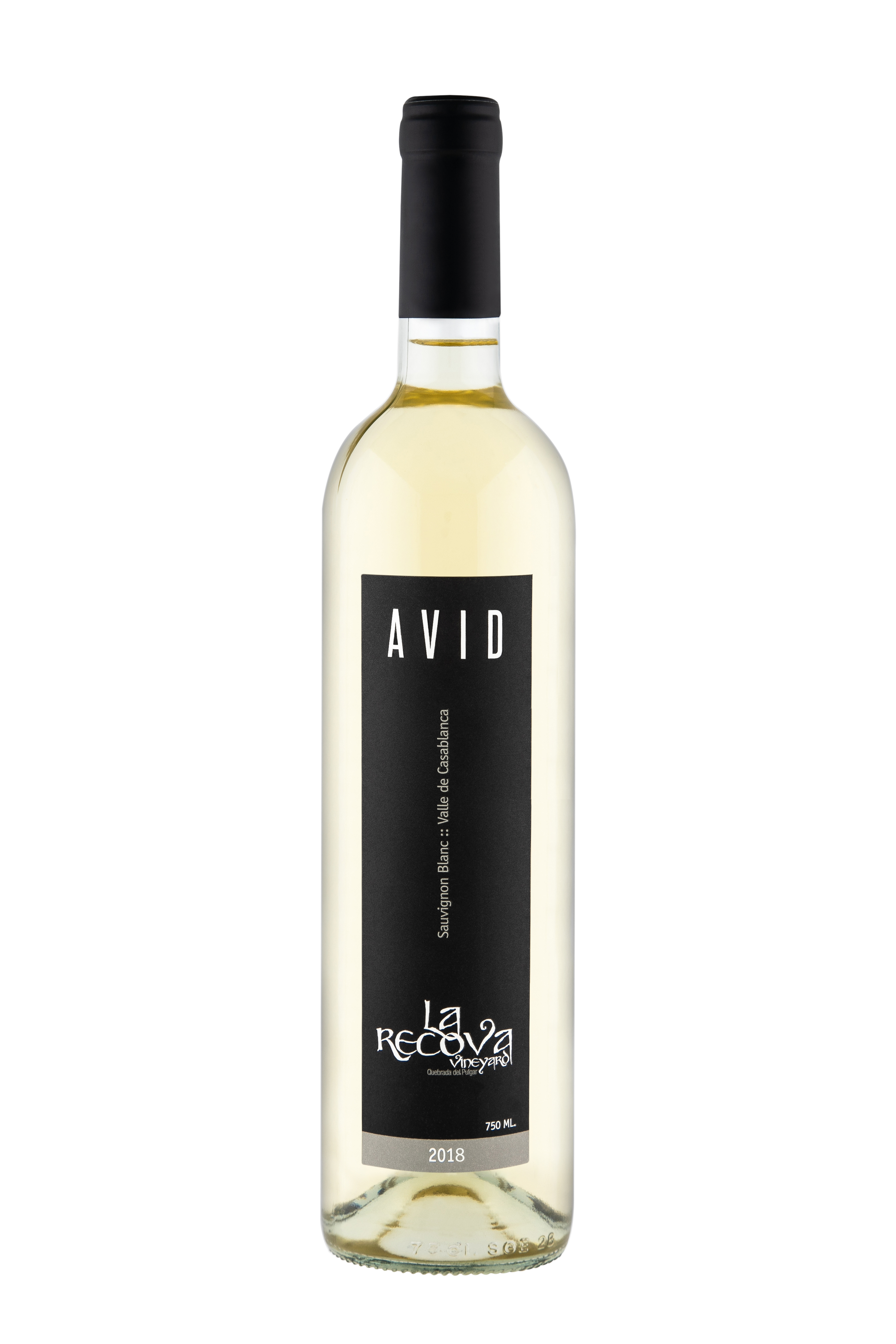 Avid Sauvignon Blanc