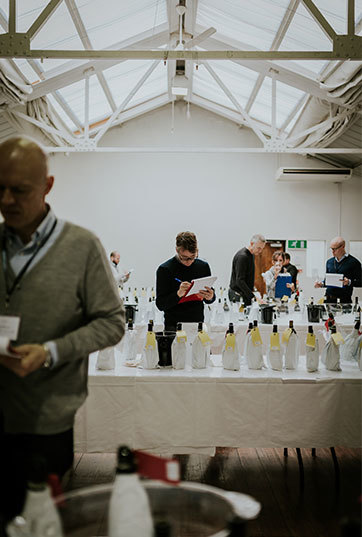 JUDGES & JUDGING