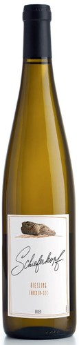 Riesling Baden