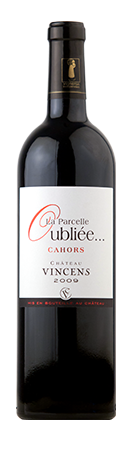 Chateau Vincens