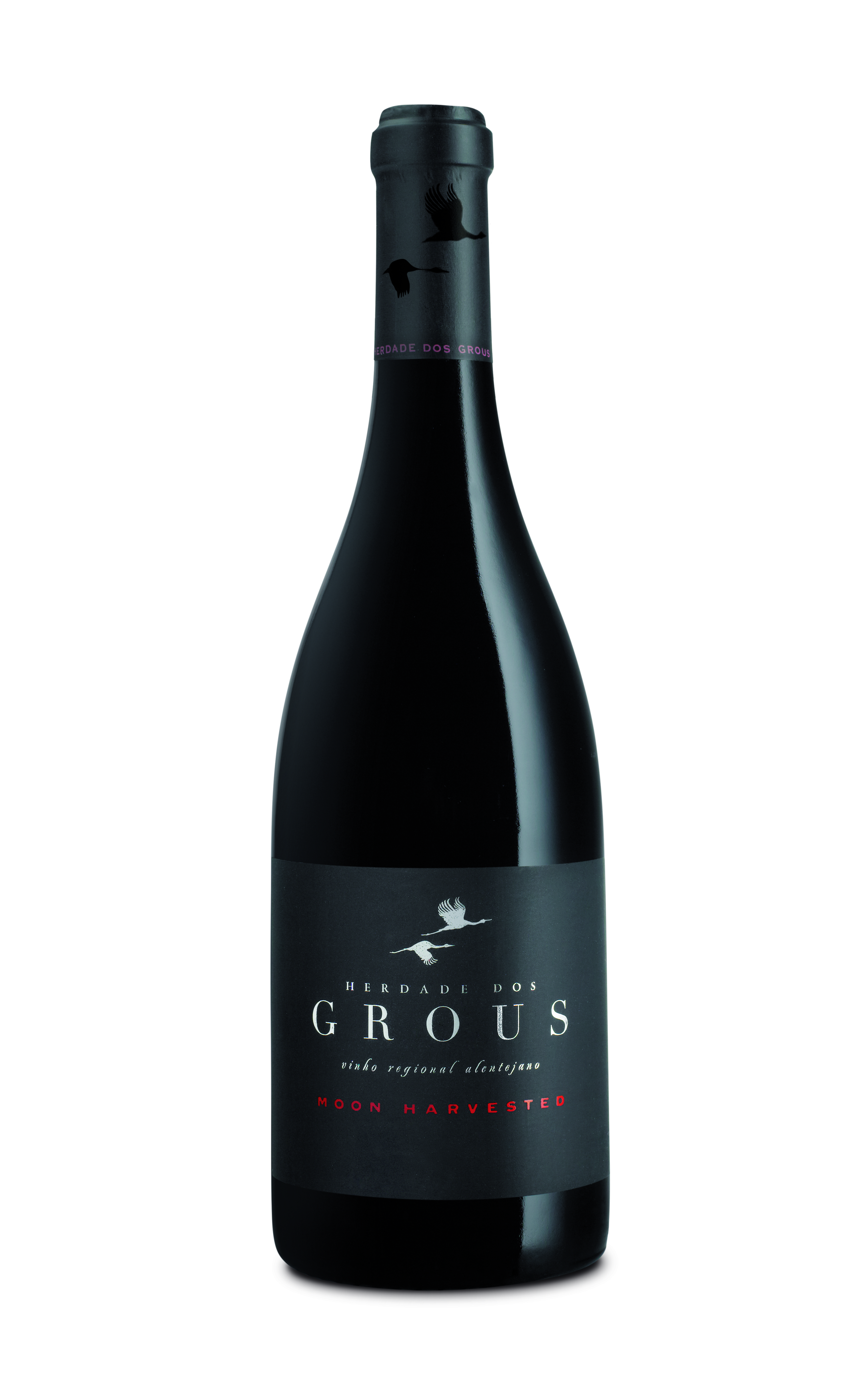 Grous Moon Harvest