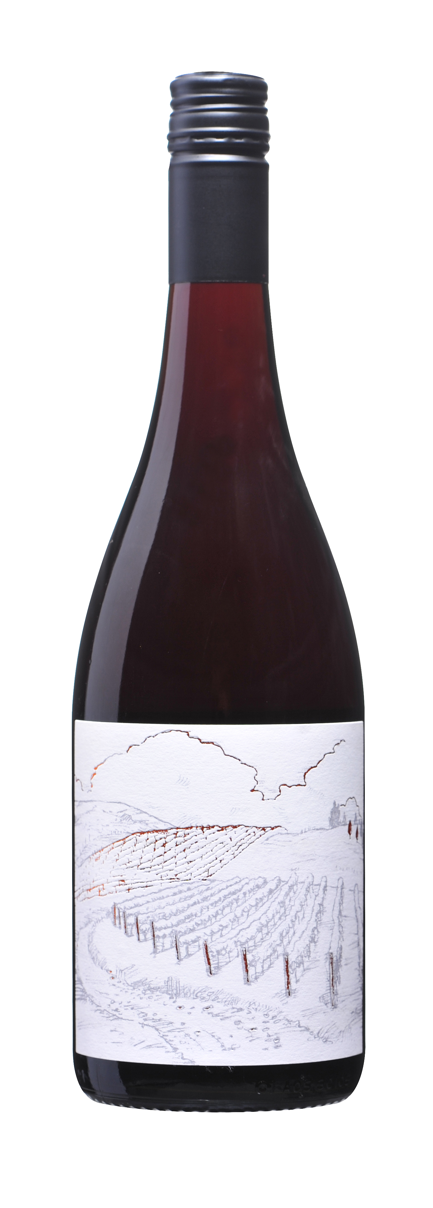 Vineyard Ferment Pinot Noir (Organic)