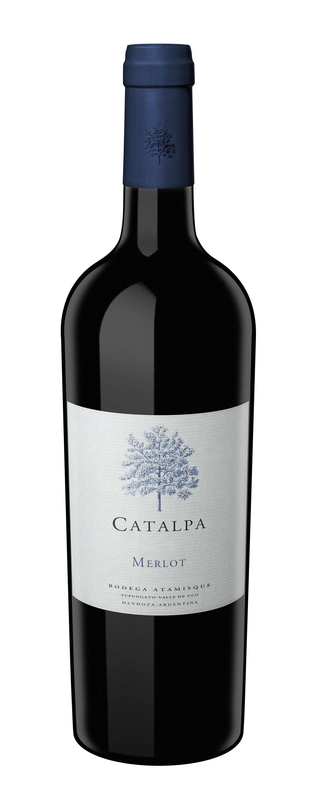 catalpa merlot