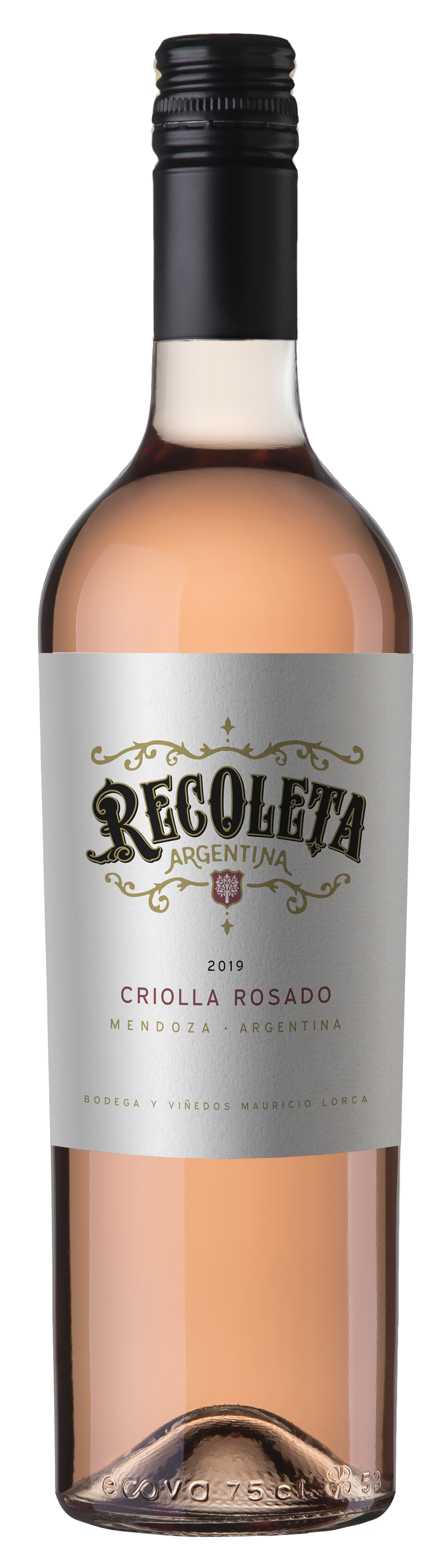 Recoleta Criolla Rosado