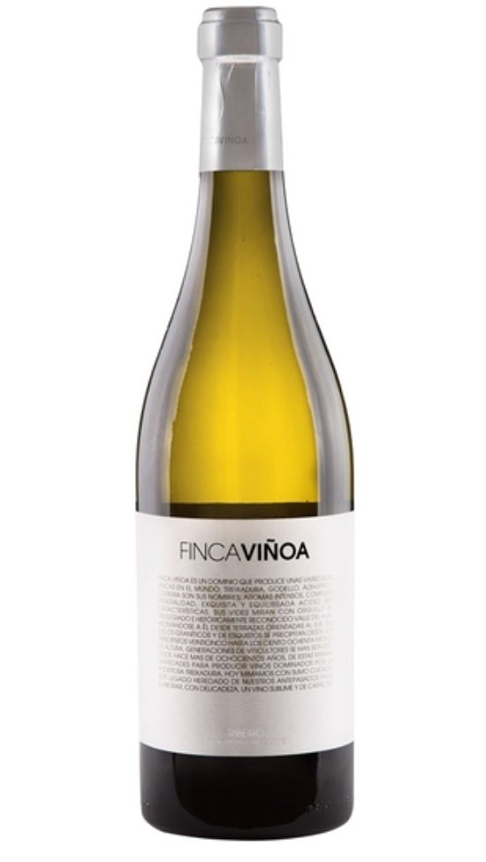 Ribeiro Blanco ‘V’