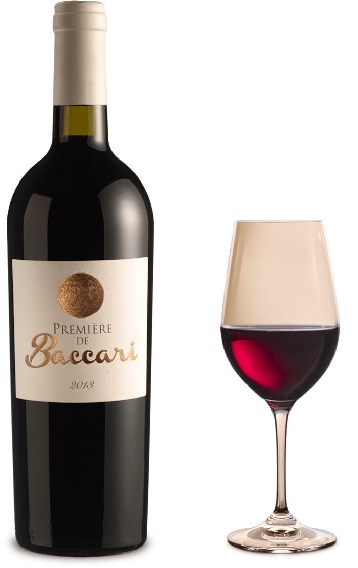 Première de Baccari (Cabernet Franc & Syrah)