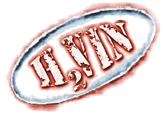 H2Vin
