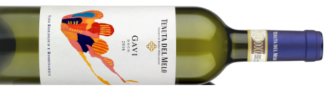 Gavi