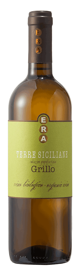 Grillo