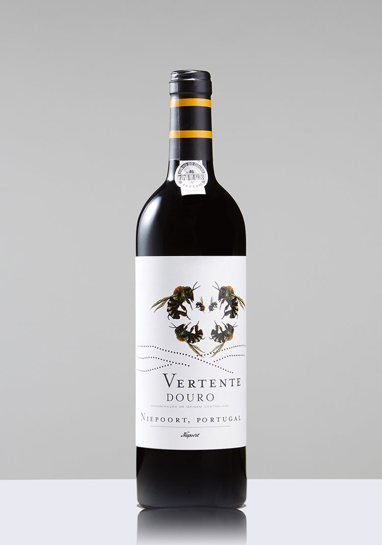 Vertente