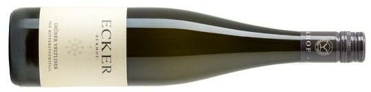 Grüner Veltliner Steinberg