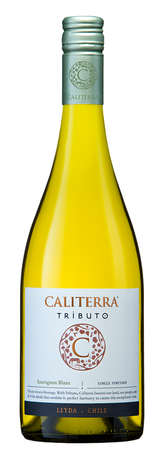 Caliterra Tributo 'Single Vineyard' Sauvignon Blanc