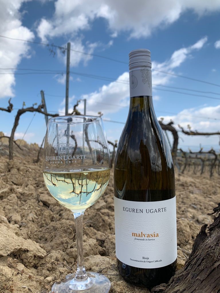 Malvasia Blanco Fermententado en Barrica