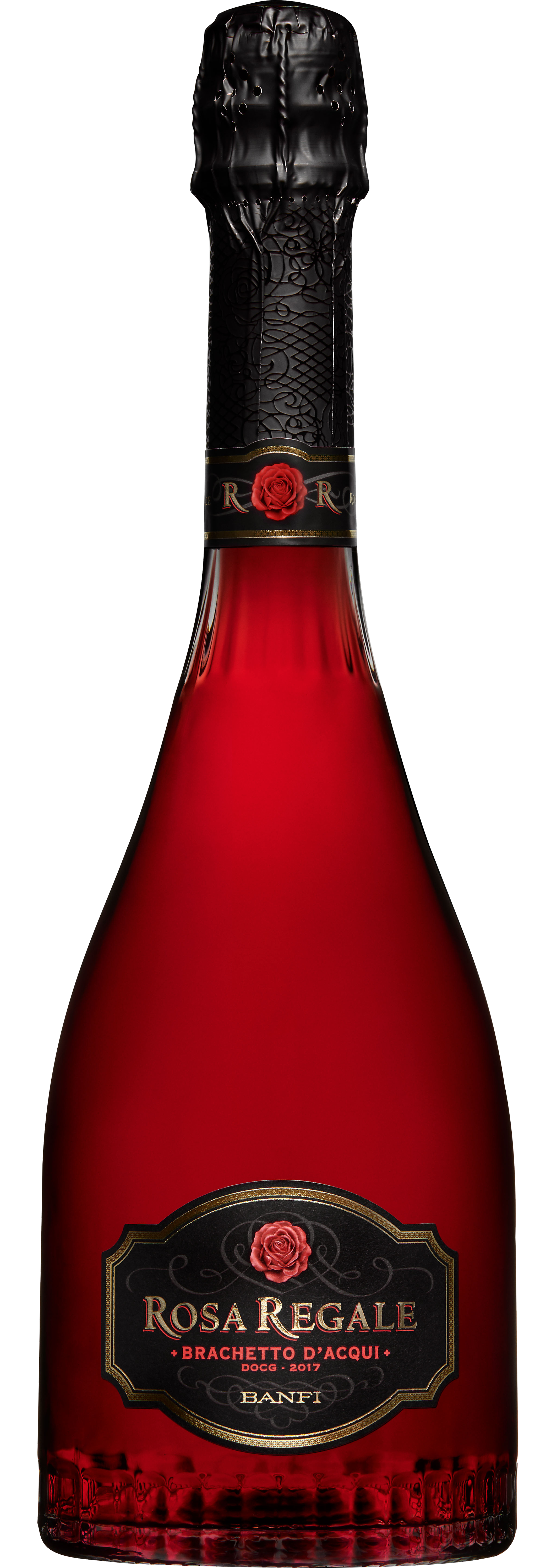Rosa Regale