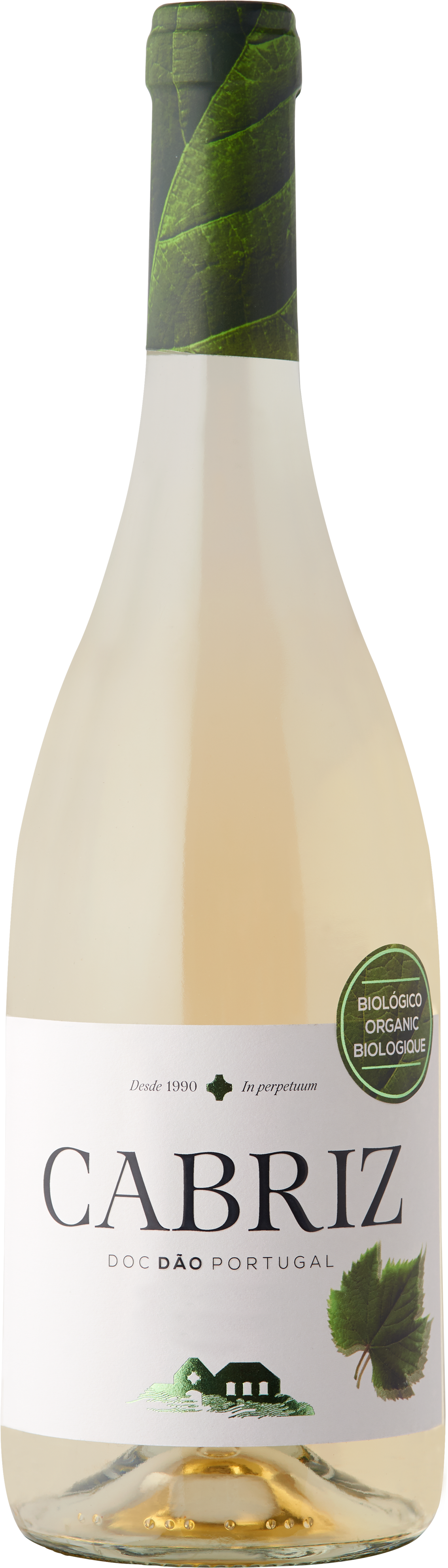Cabriz Organic White