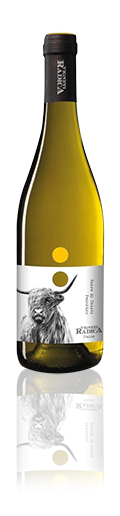 Pecorino IGT Terre di Chieti