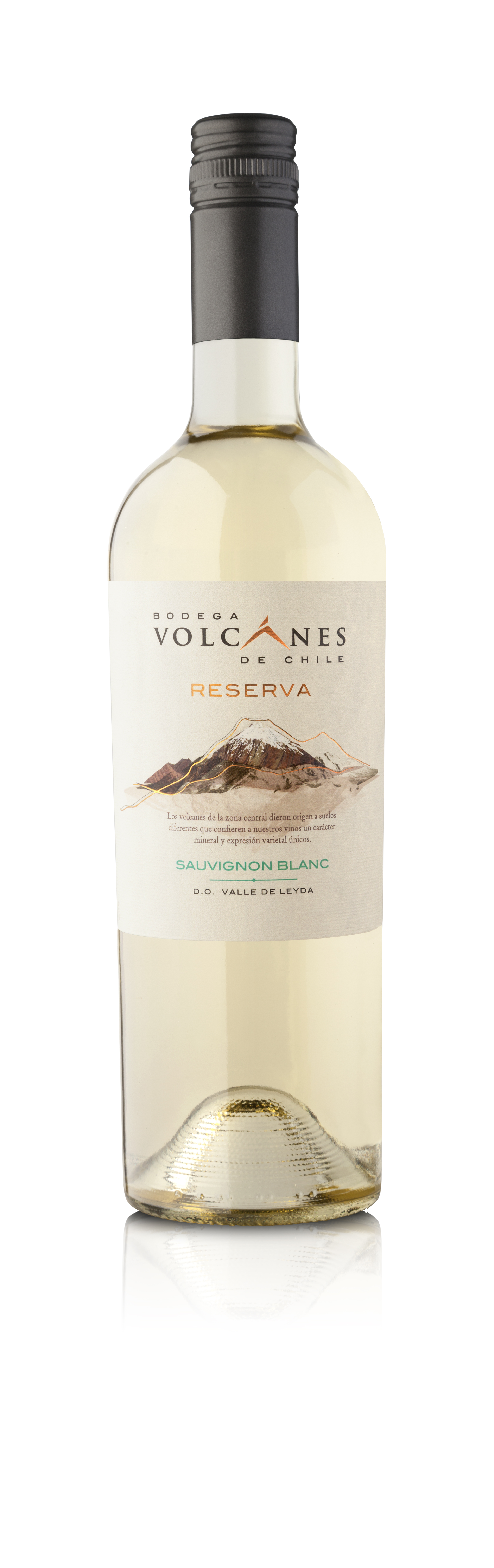 Reserva Sauvignon Blanc
