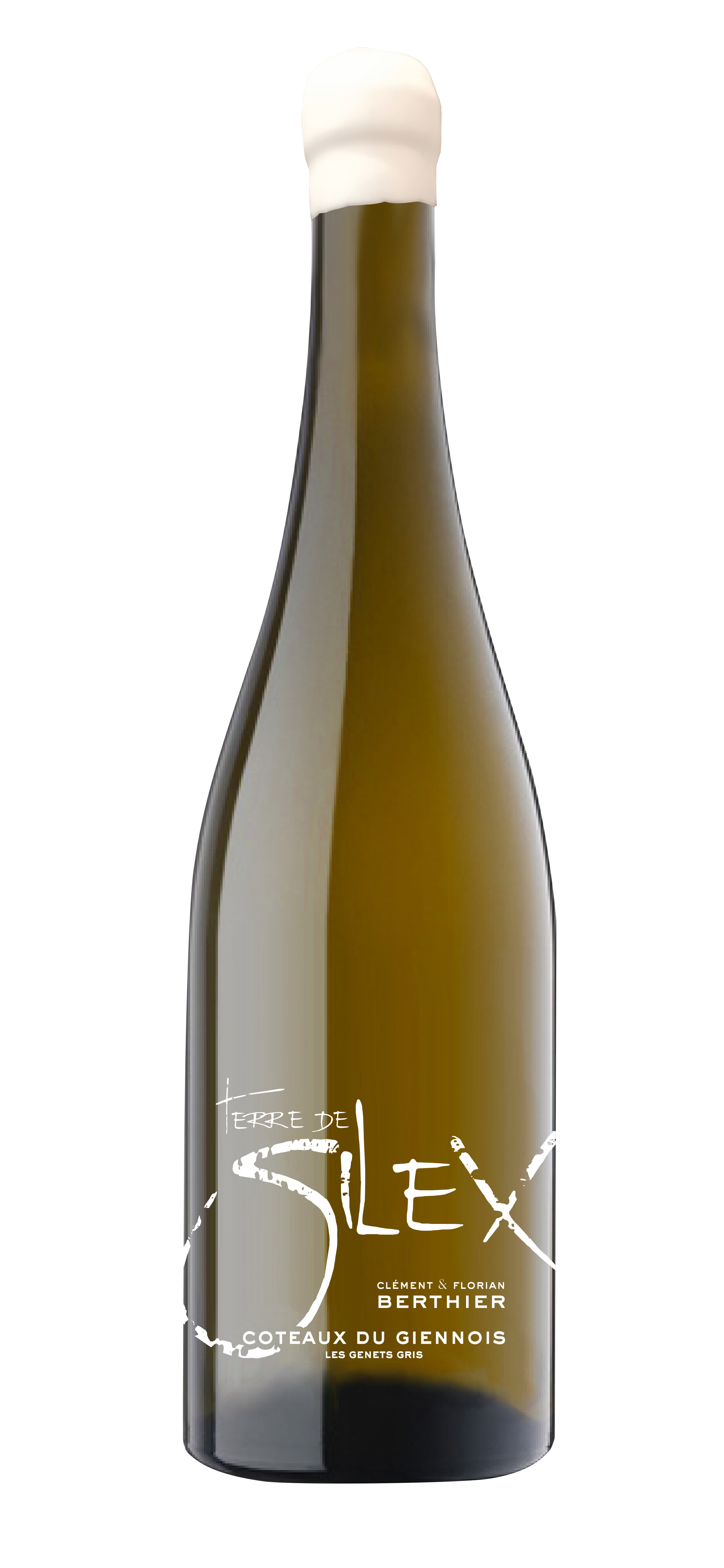 Clement et Florian Berthier 'Terroir de Silex' Coteaux du Giennois 2019