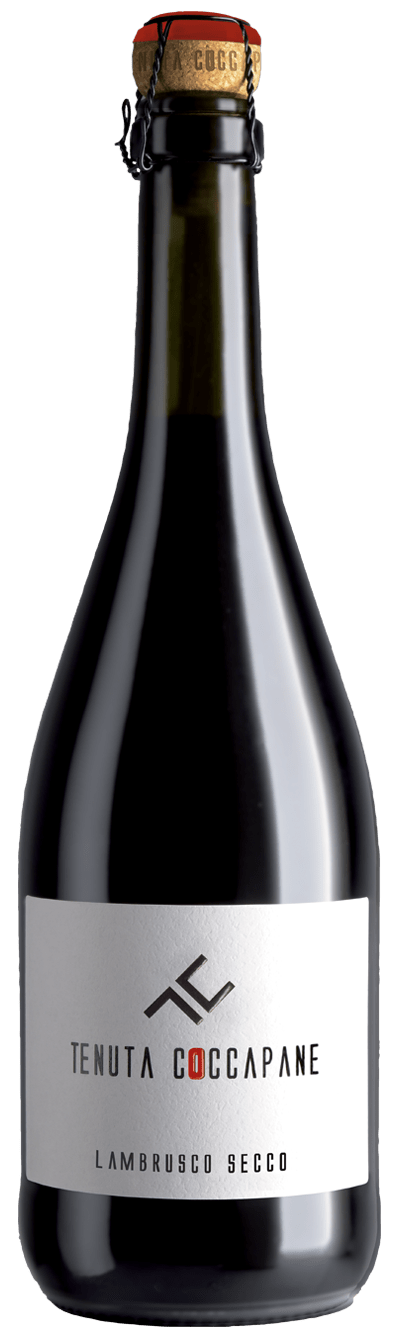 Lambrussco Secco IGT