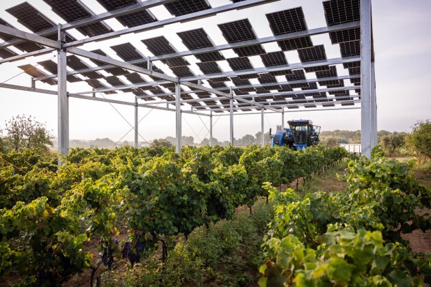 Familia Torres launches innovative new solar project