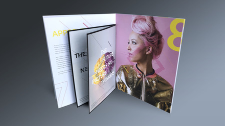 Early Careers Brochure