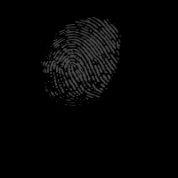 finger prints
