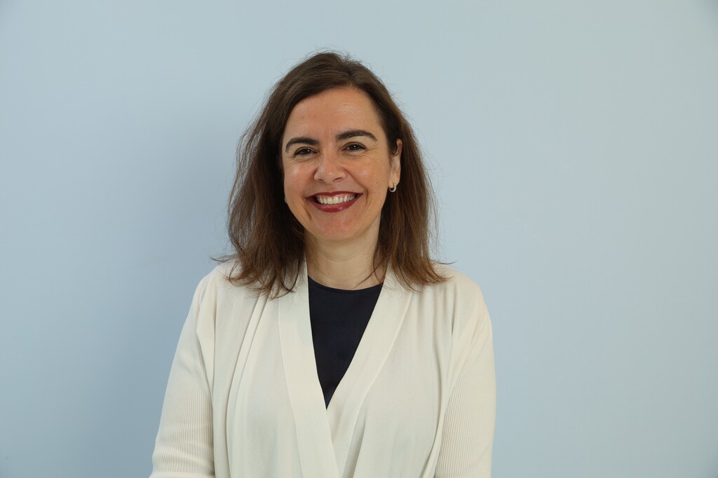 Virginie Le Barbu, Lenovo