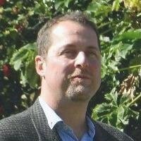 Cornelius Burger, Capgemini