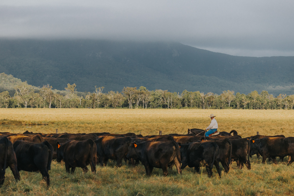 Sustainable sourcing - Aussie Beef & Lamb’s commitment to hospitality