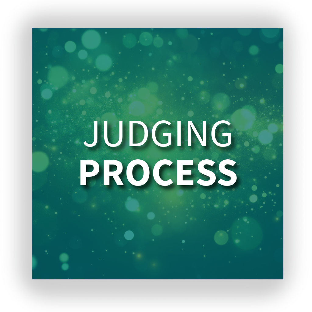 Panel - Judging Process